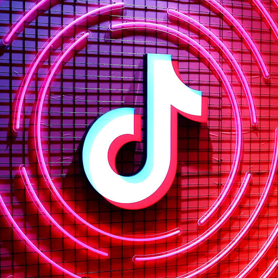 TikTok Goes Quiet Across Northern Nigeria As Civil Society Demands Answers