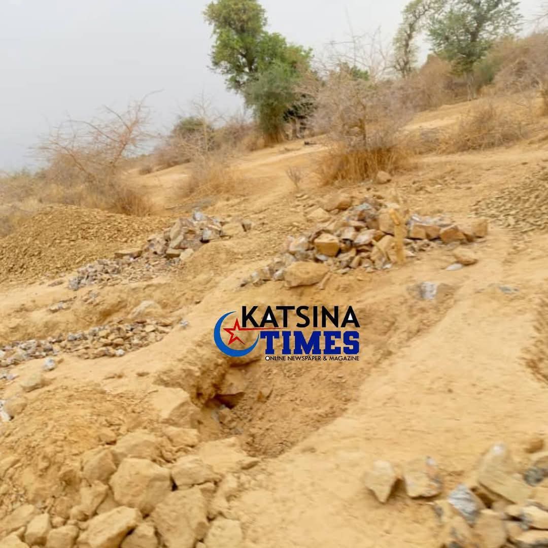 EXCLUSIVE: Armed Bandits Run Illegal Gold Mine in Katsina Forest — Katsina Times Investigation