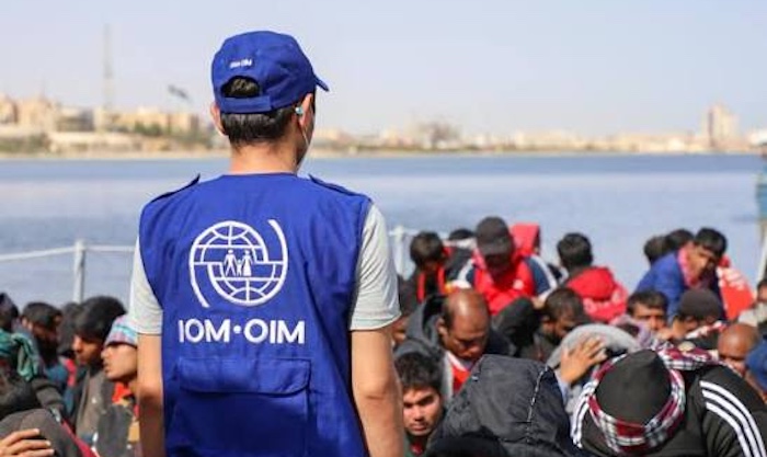 Insecurity, Floods Force 138,000 People From Their Homes in Katsina as IDP Population Hits 181,000 : IOM
