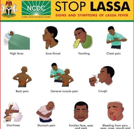 Lassa Fever Death Toll Hits 214 as Fatality Rate Rises — NCDC