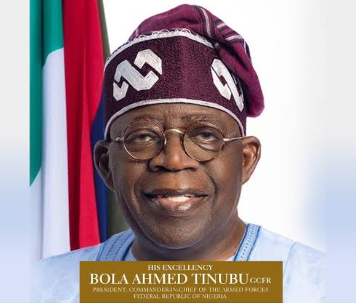 Tinubu Bashing Not A Hobby, Just A Necessity.