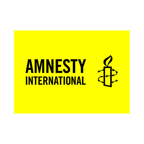 Amnesty Raises Alarm Over Renewed Bandit Attacks in Katsina