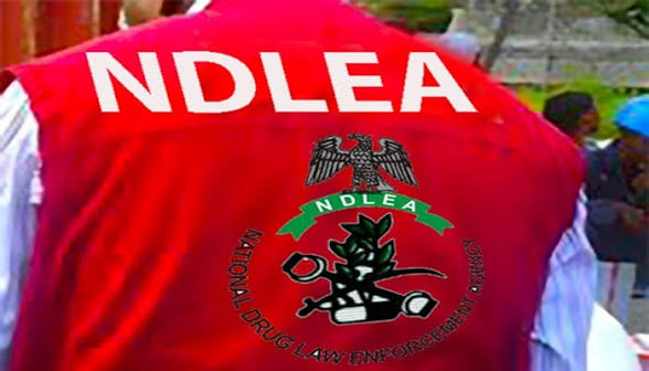 NDLEA Reports 80,000 Arrests, 15,000 Convictions in Five Years