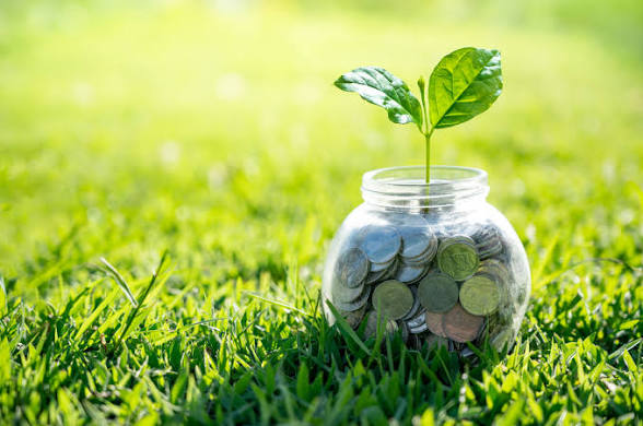 FG Intensifies Drive to Attract Green Finance for Sustainable Development