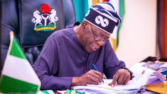 TDF Hails Tinubu Over Trans-Sahara Superhighway, South-East Development Initiatives
