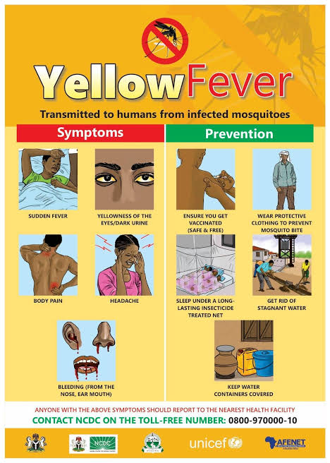 WHO Raises Alarm as Yellow Fever Cases Persist Across Africa, Americas
