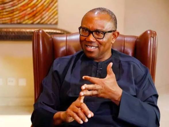 State Police Bill Sparks Fresh Debate as Obi, CUPP Warn Against Hasty Implementation